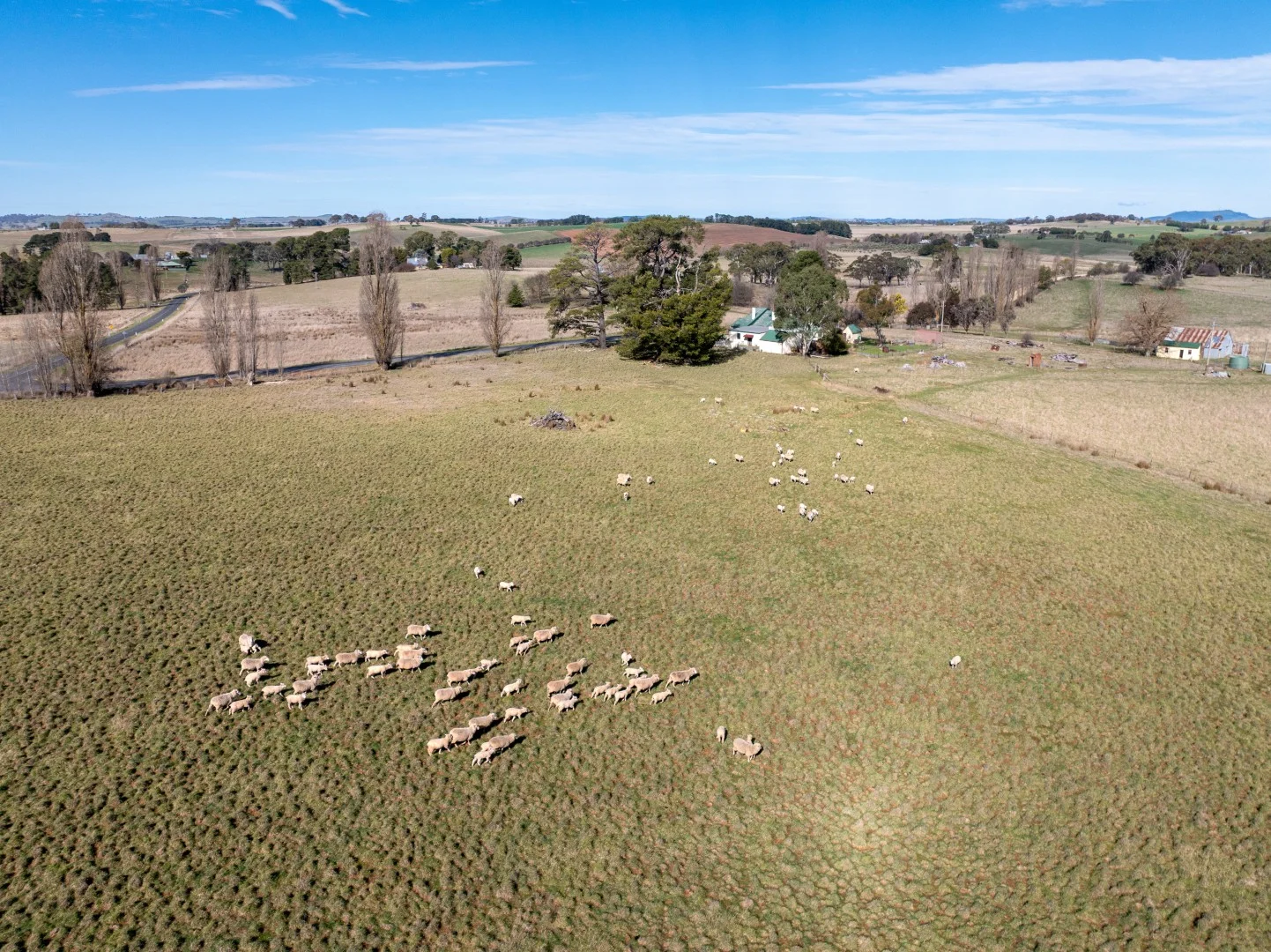 Additional image 7 of 706-709 Beneree Road, Forest Reefs NSW 2798
