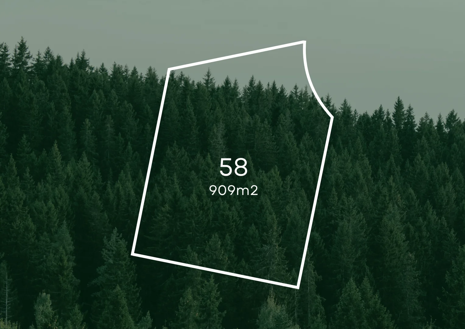 Additional image 2 of Lot 58 Pine Wood Estate, Gol Gol NSW 2738