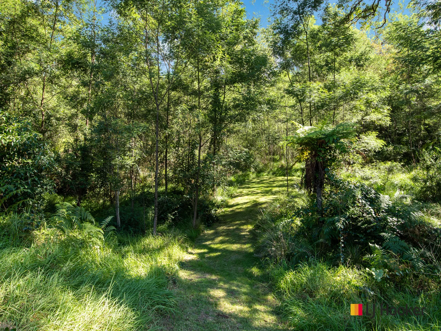 Additional image 33 of 86 Allards Lane, Nelligen NSW 2536