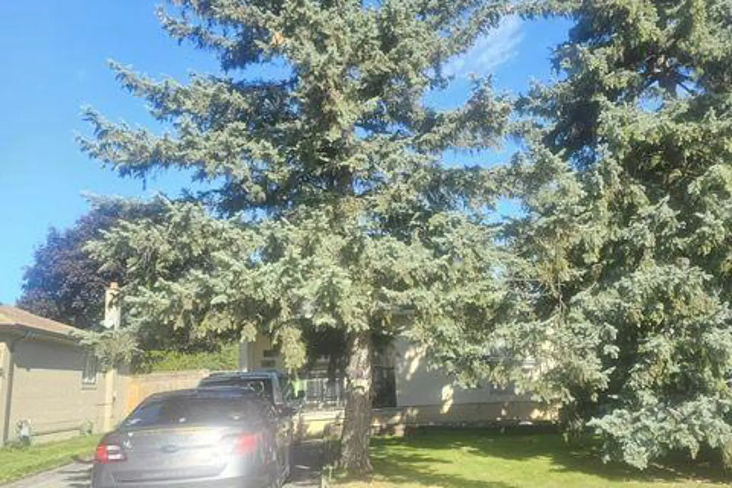 Additional image 3 of 20 Billingsgate Crescent