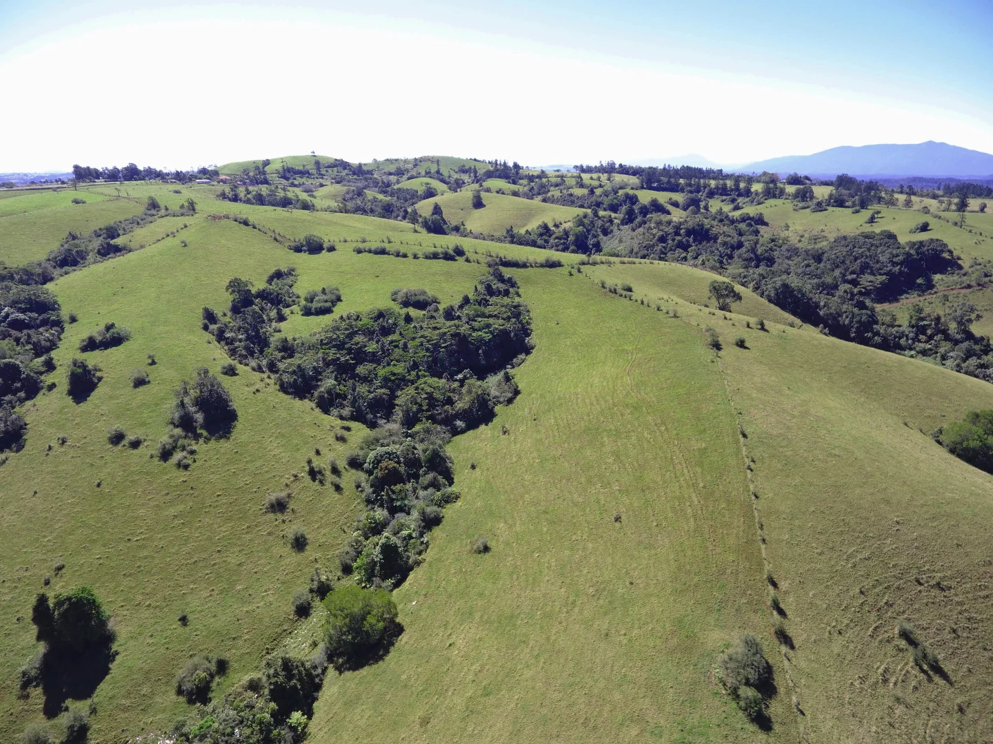 Additional image 6 of Millaa Millaa QLD 4886