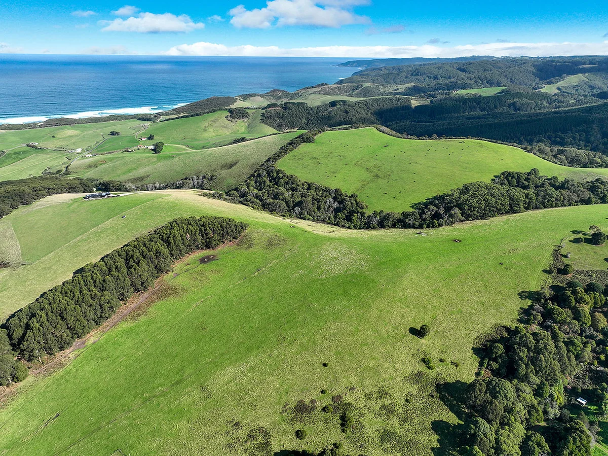 Additional image 14 of 105 Stafford Road, Johanna VIC 3238