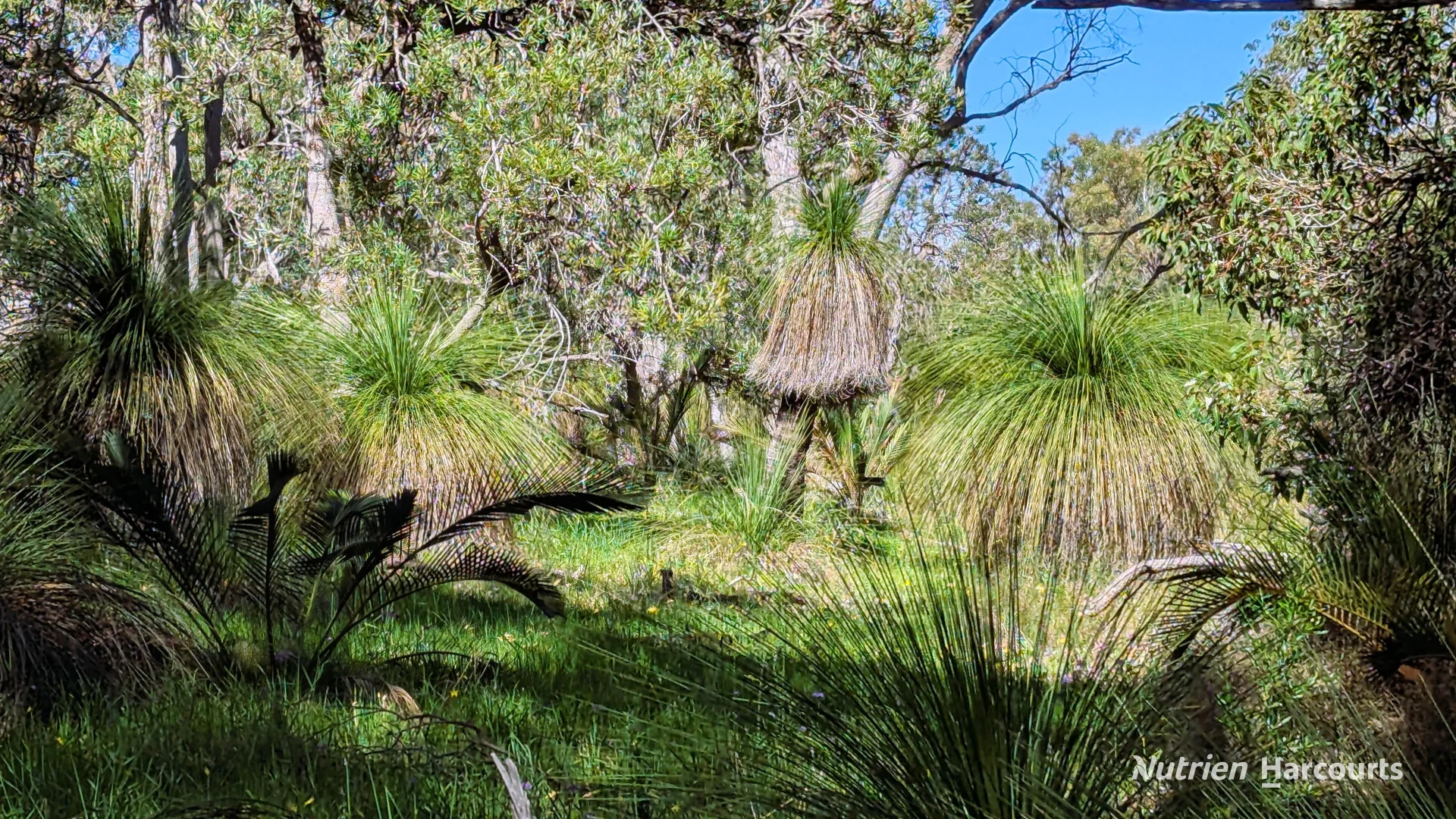 Additional image 23 of Lot 51 Millbank Road, Cowalla WA 6503