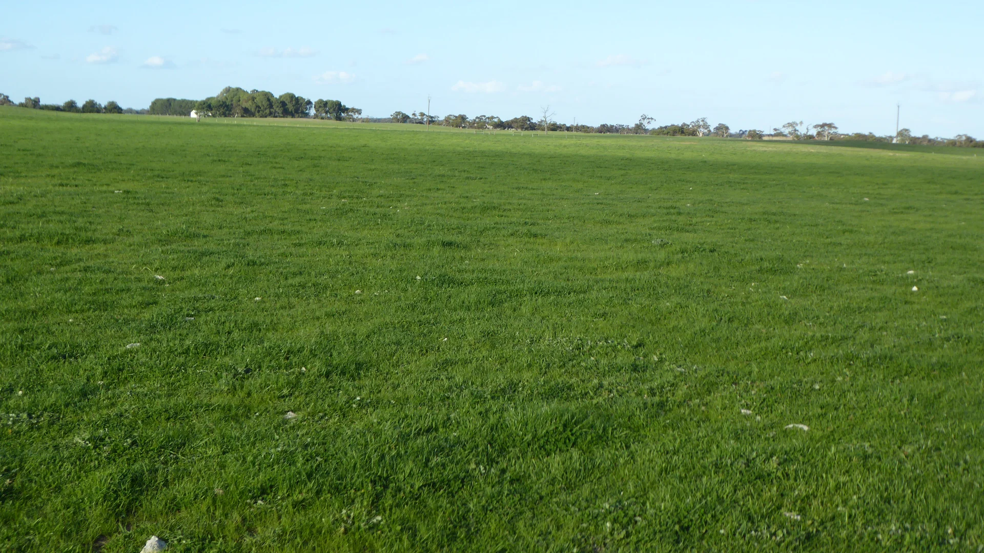 Additional image 23 of "Jacks" Sec 7 Schultz Road, Tintinara SA 5266