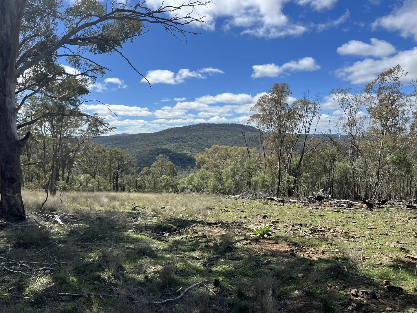 Additional image 21 of Pretty Gully Bendemeer Road, Kingstown NSW 2358