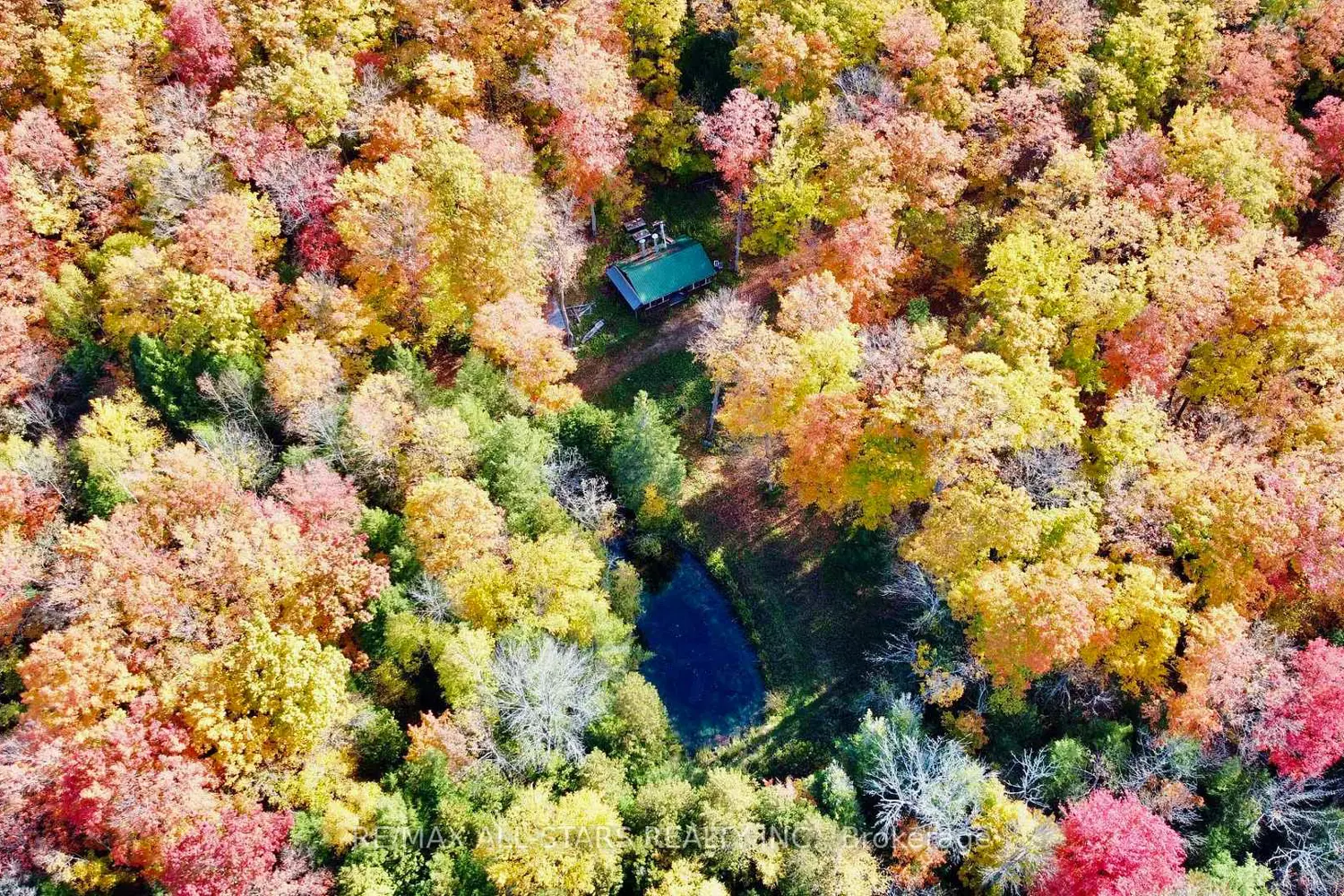 Additional image 6 of 14200 Sideroad 18