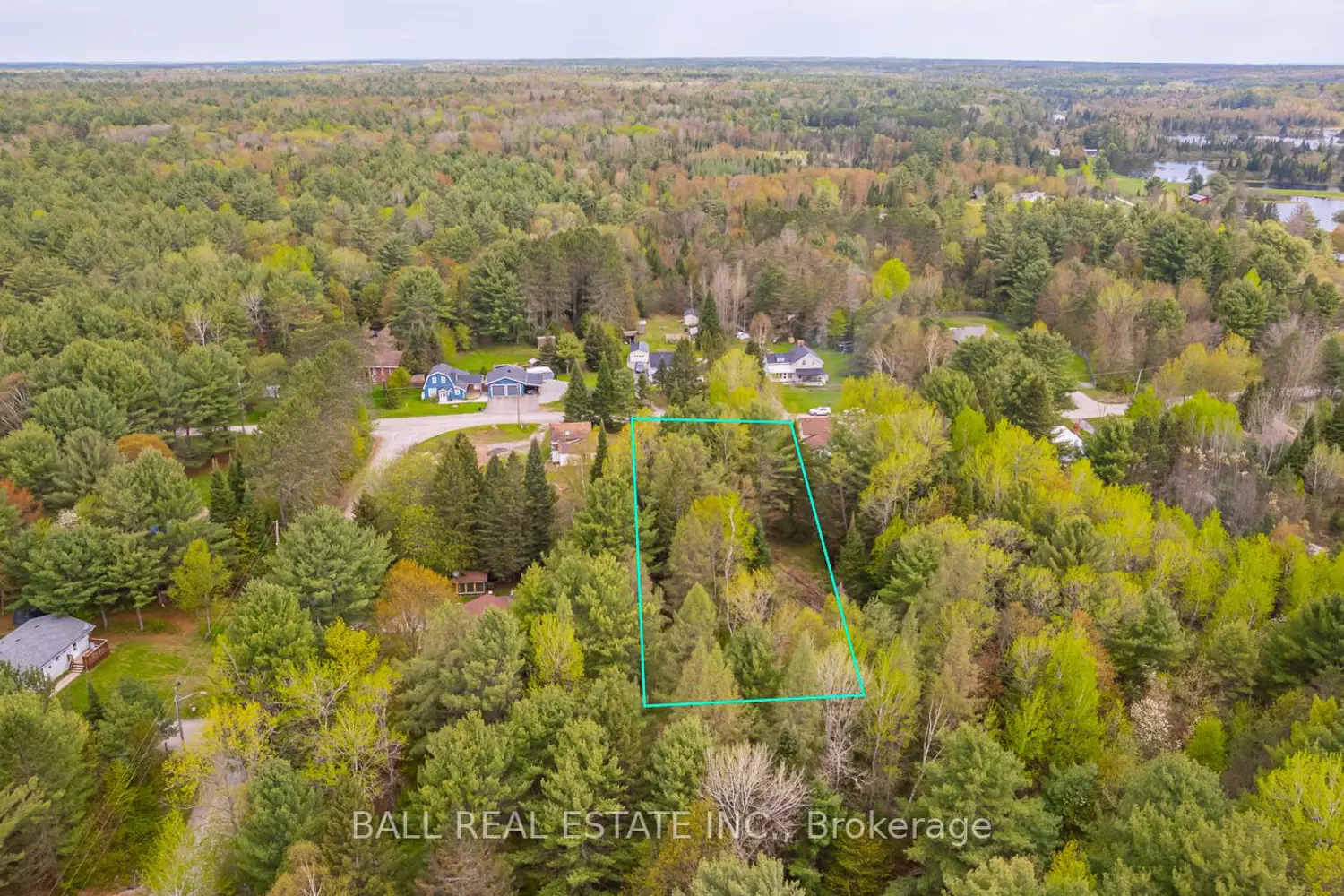 Additional image 9 of 0 The Avenue