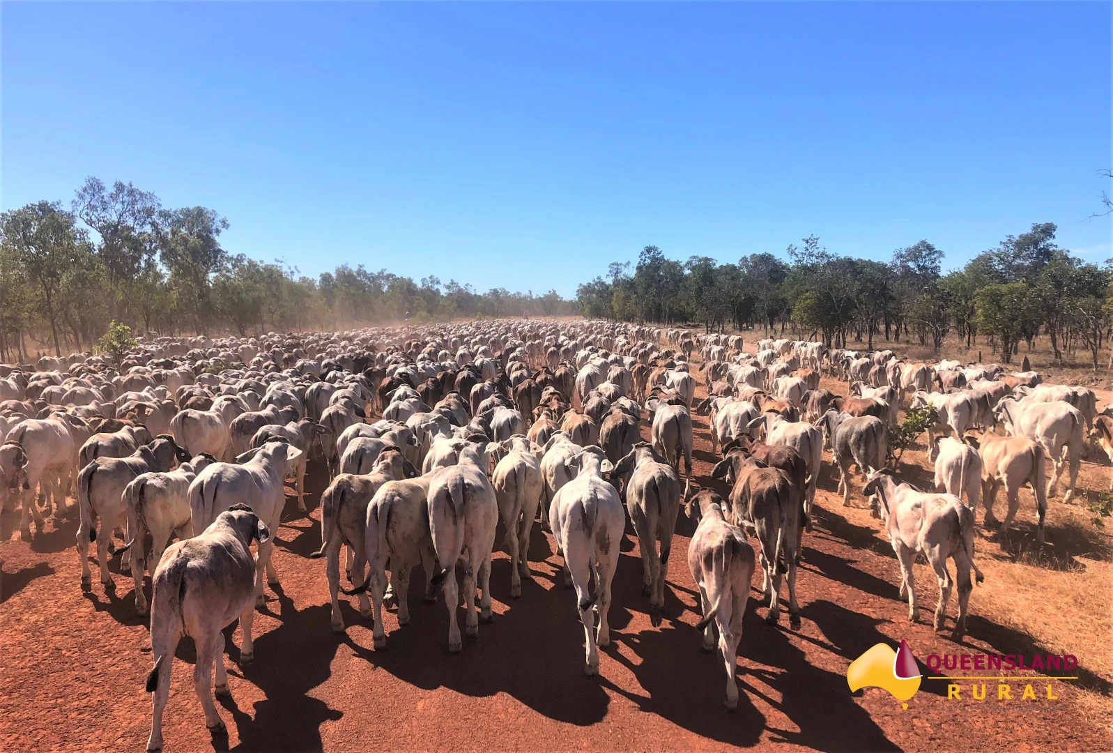 Additional image 2 of Normanton QLD 4890