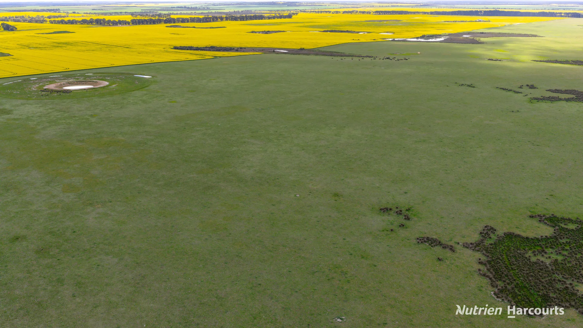 Additional image 14 of 1463 Savage Road, Neridup WA 6450