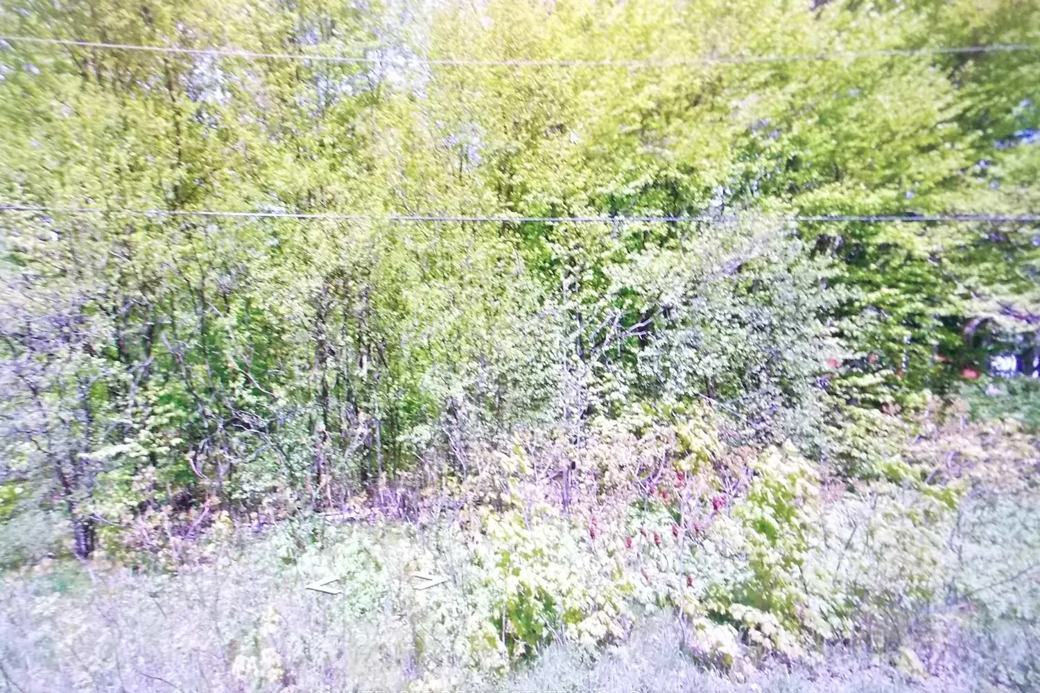 Lot 18 Greer Rd Road photo 2