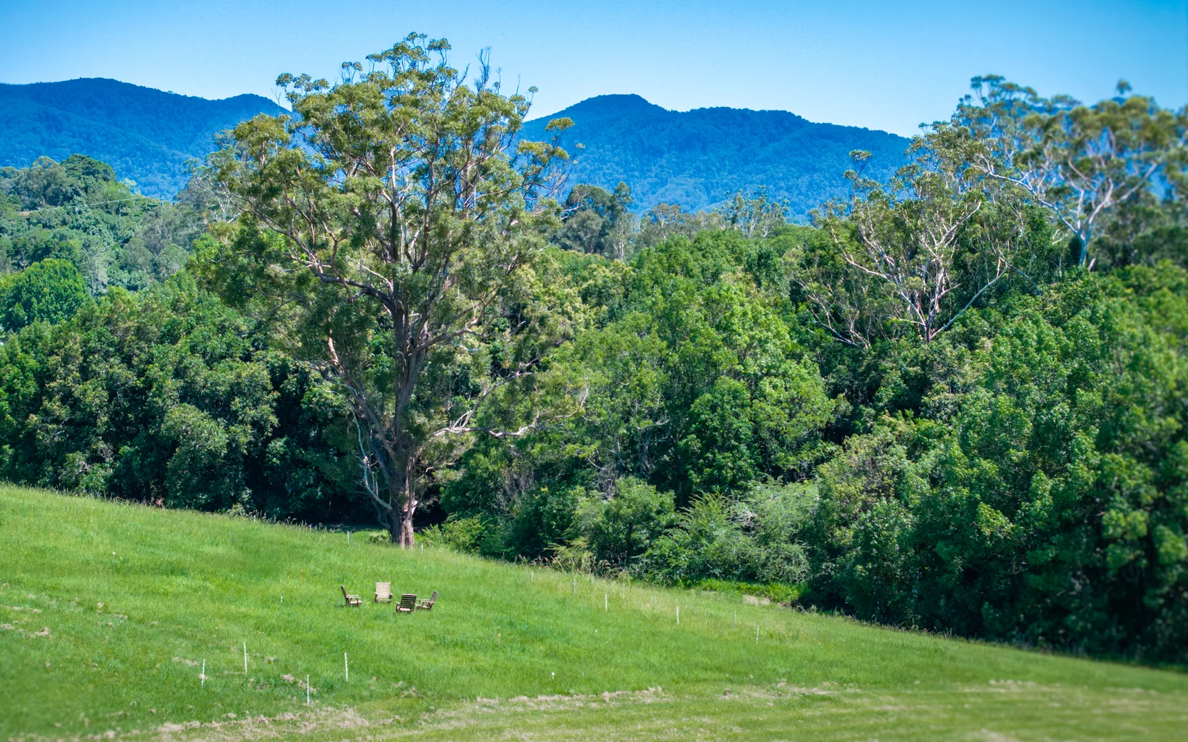 Additional image 7 of 62 Whistler Place, Bellingen NSW 2454