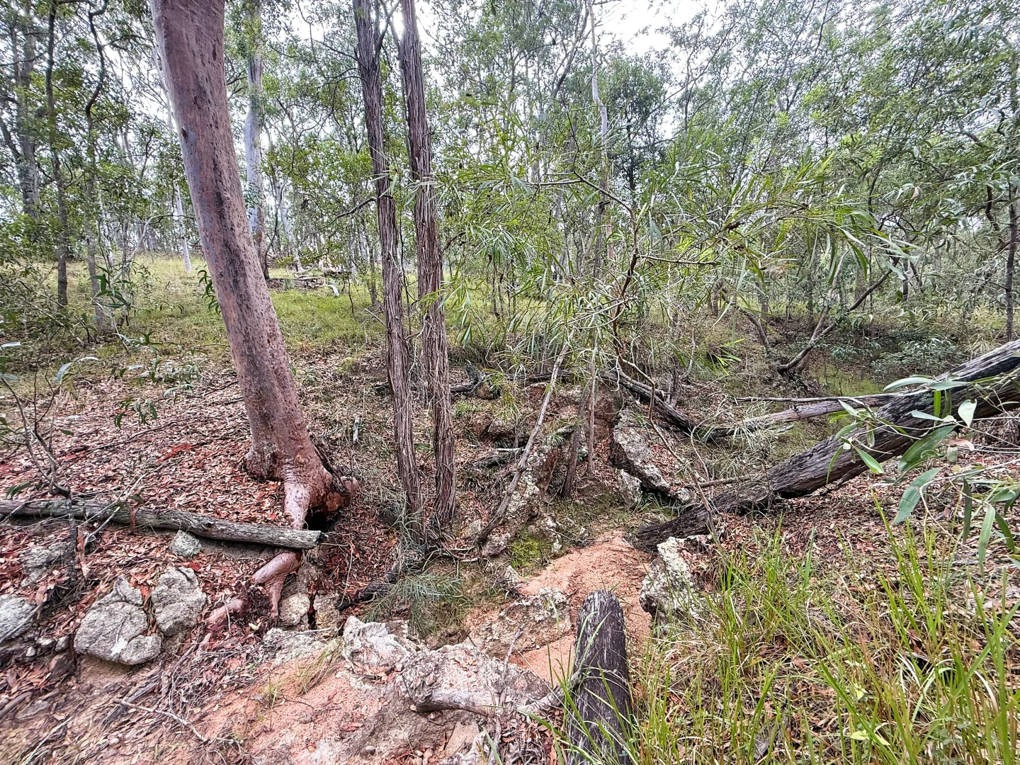 Additional image 15 of Lot 10/931 Nearum Road, Nearum QLD 4671