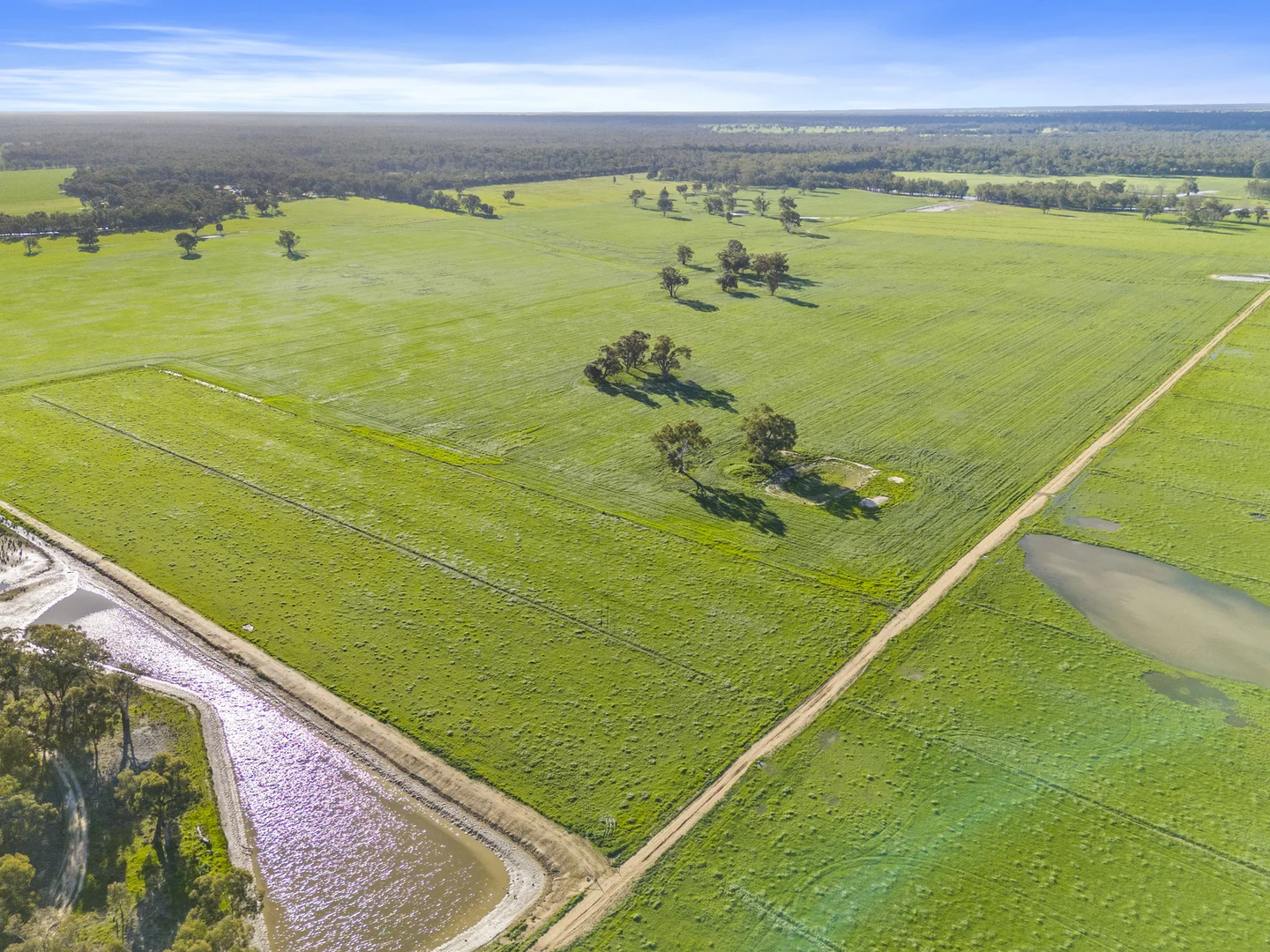 Additional image 4 of 210 Waser Road, Strathmerton VIC 3641