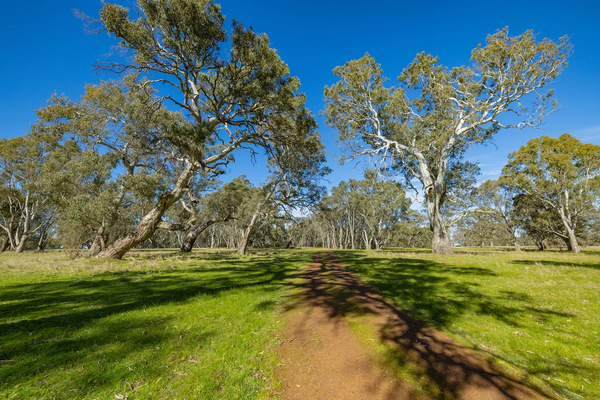 Additional image 17 of 252 Wannon Nigretta Road, Wannon VIC 3301