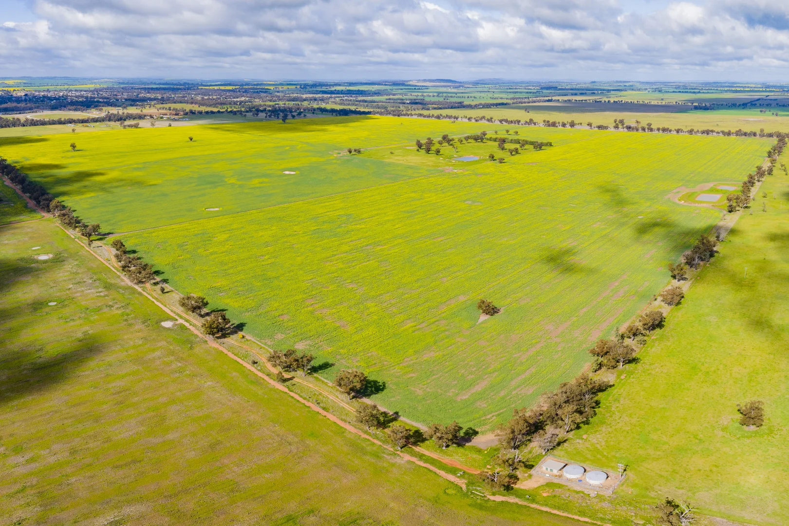 Additional image 9 of Lonsdale Lane, Coolamon NSW 2701