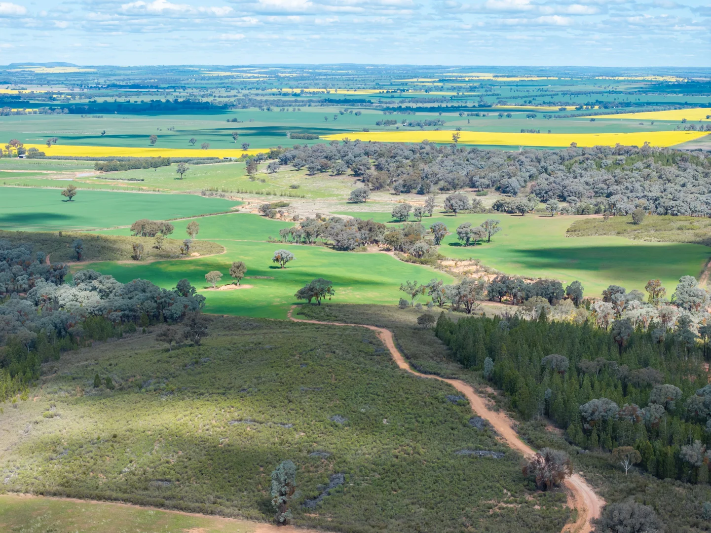 Additional image 35 of 100 Grahams Lane, Grenfell NSW 2810