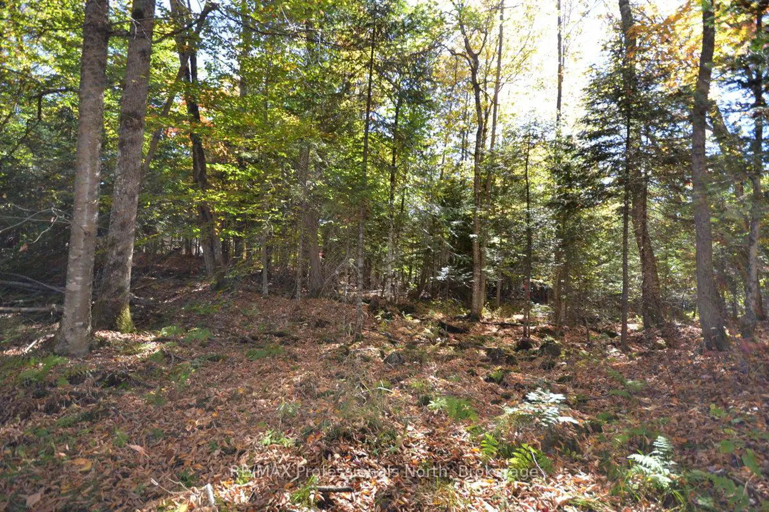 Additional image 20 of 0 Clive Trail