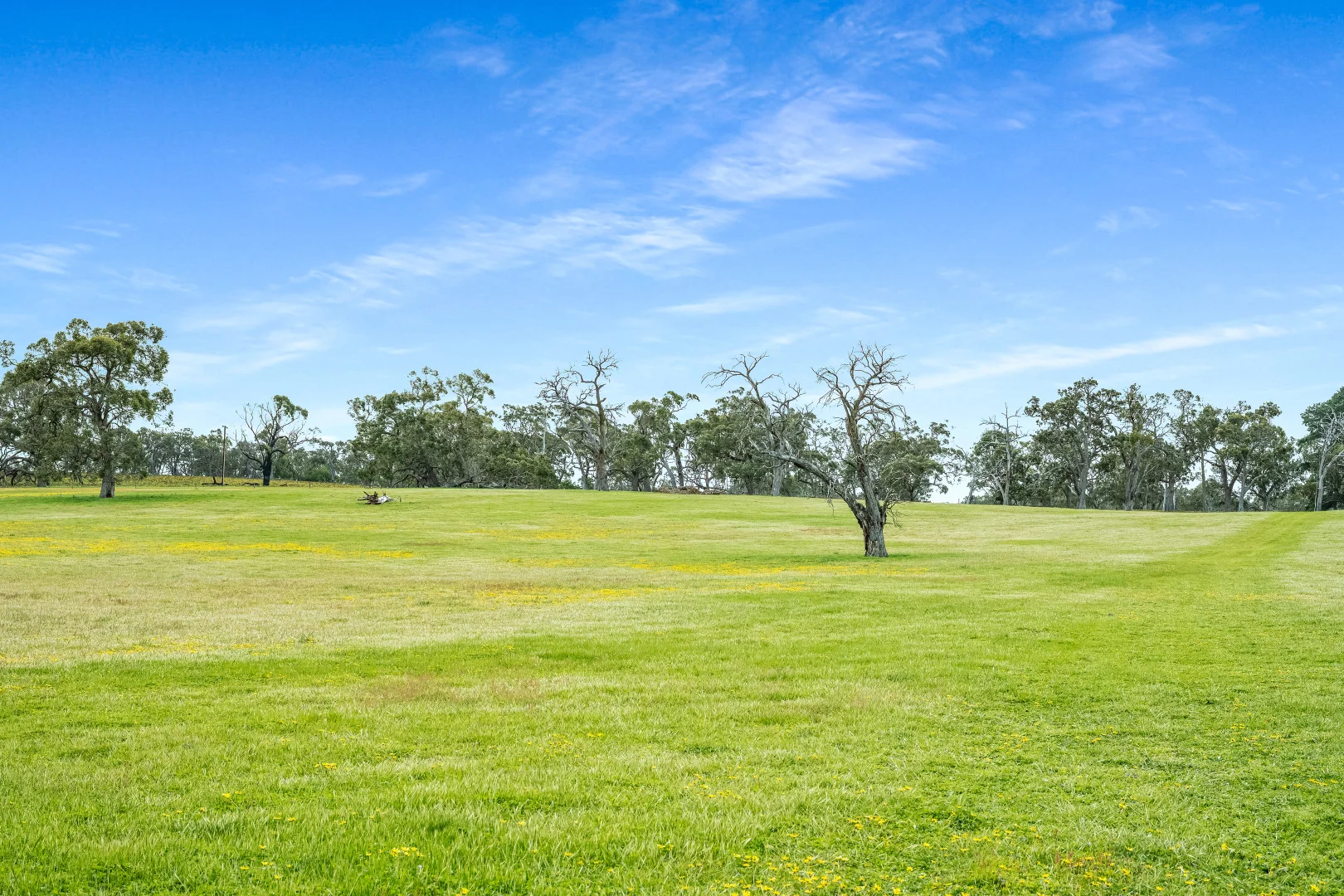 Additional image 32 of 1242 Old Comaum Rd, Coonawarra SA 5263