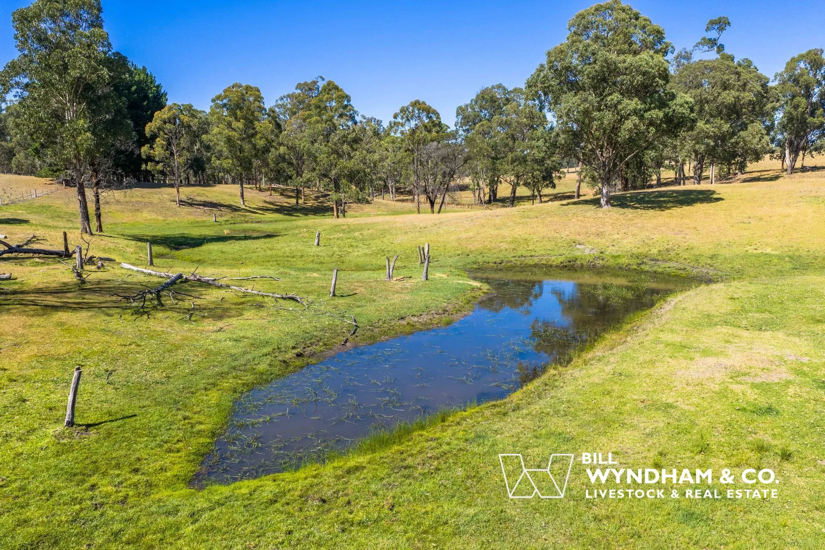 Additional image 25 of 125 Bethross Drive, Tambo Upper VIC 3885
