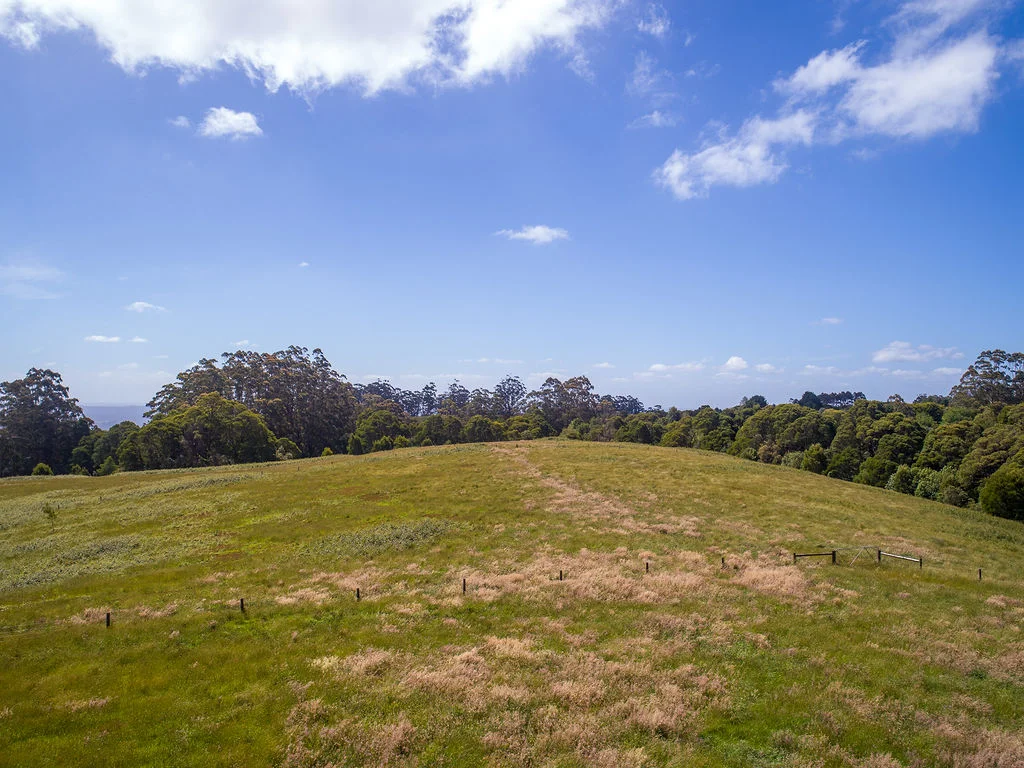 Additional image 4 of 19A, B & C Lavers Hill-Cobden Road, Lavers Hill VIC 3238