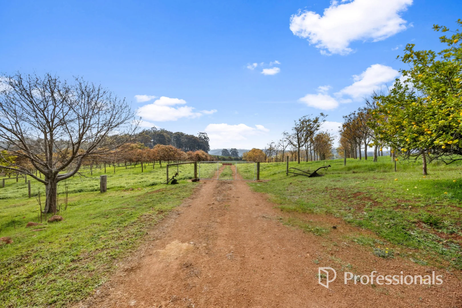 Additional image 28 of 1016 Charley Creek Road, Thomson Brook WA 6239