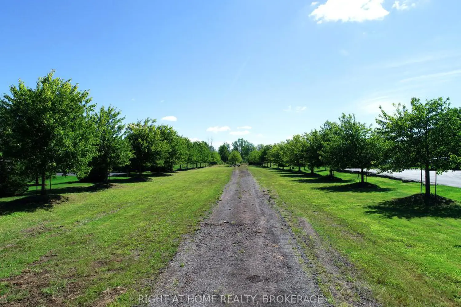 V/L Rosehill Road photo 5
