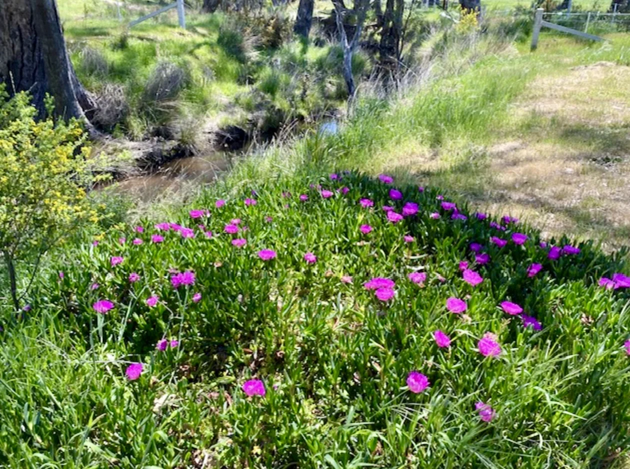 Additional image 17 of 1254 Axe Creek Road, Sedgwick VIC 3551