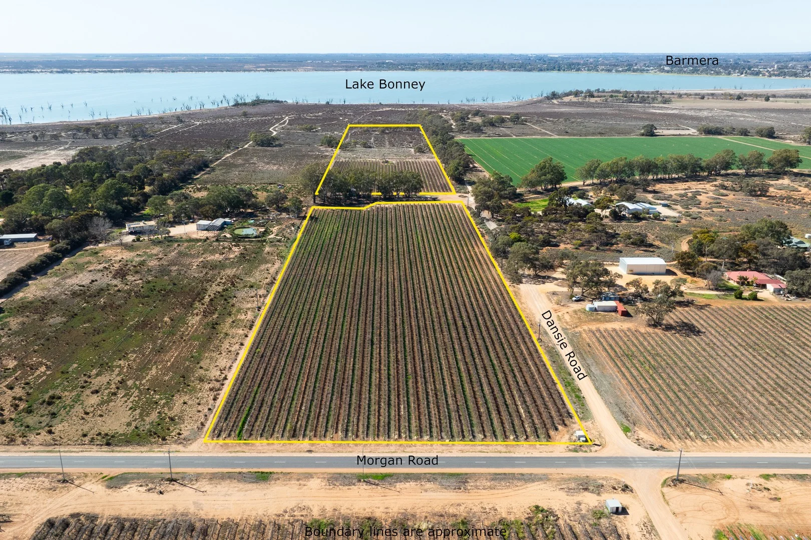 Lot 12 Dansie Road, Barmera SA 5345