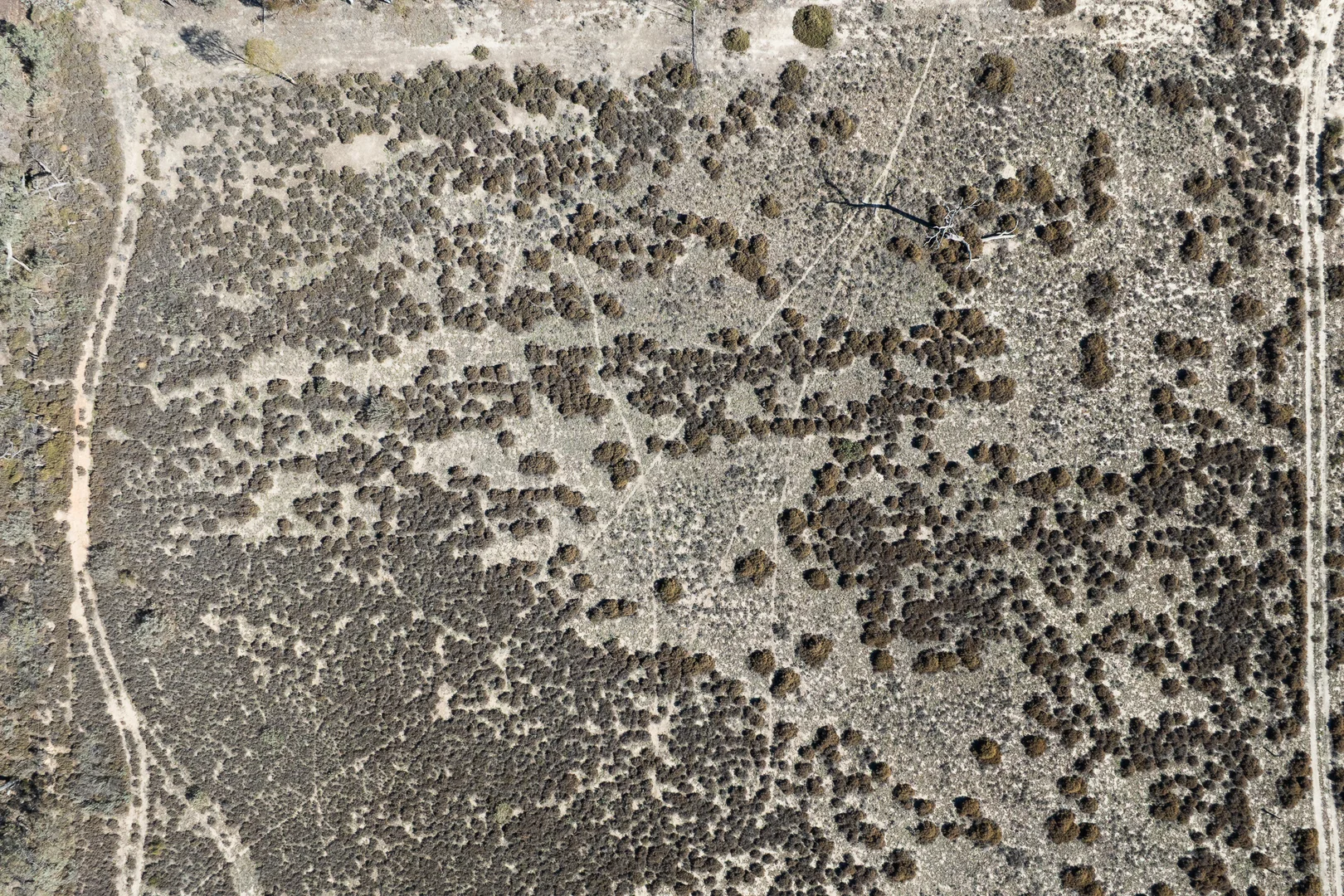 Additional image 7 of Lot 12 Dansie Road, Barmera SA 5345