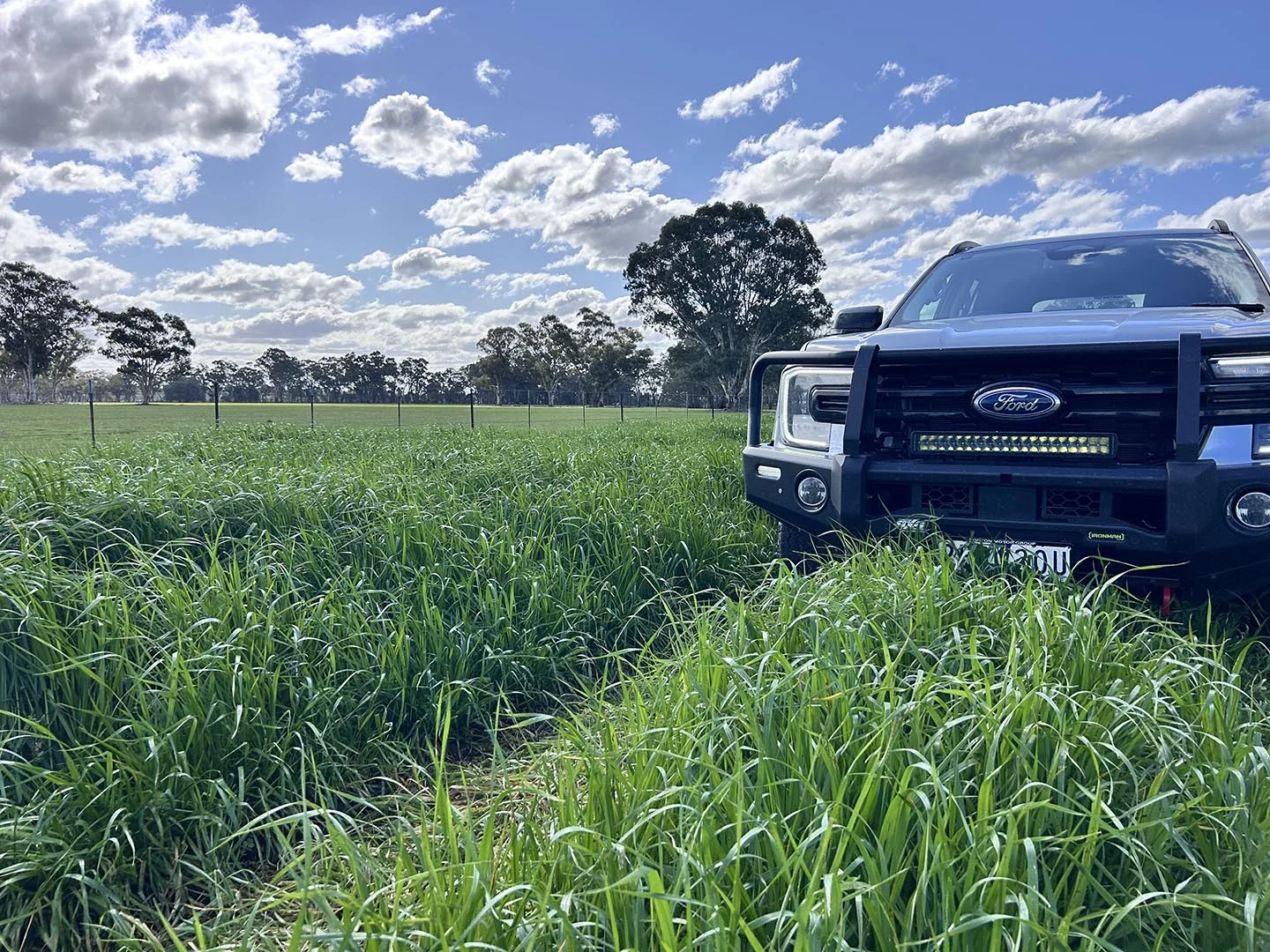 Additional image 4 of 1241 Drysdale Road, Pranjip VIC 3666