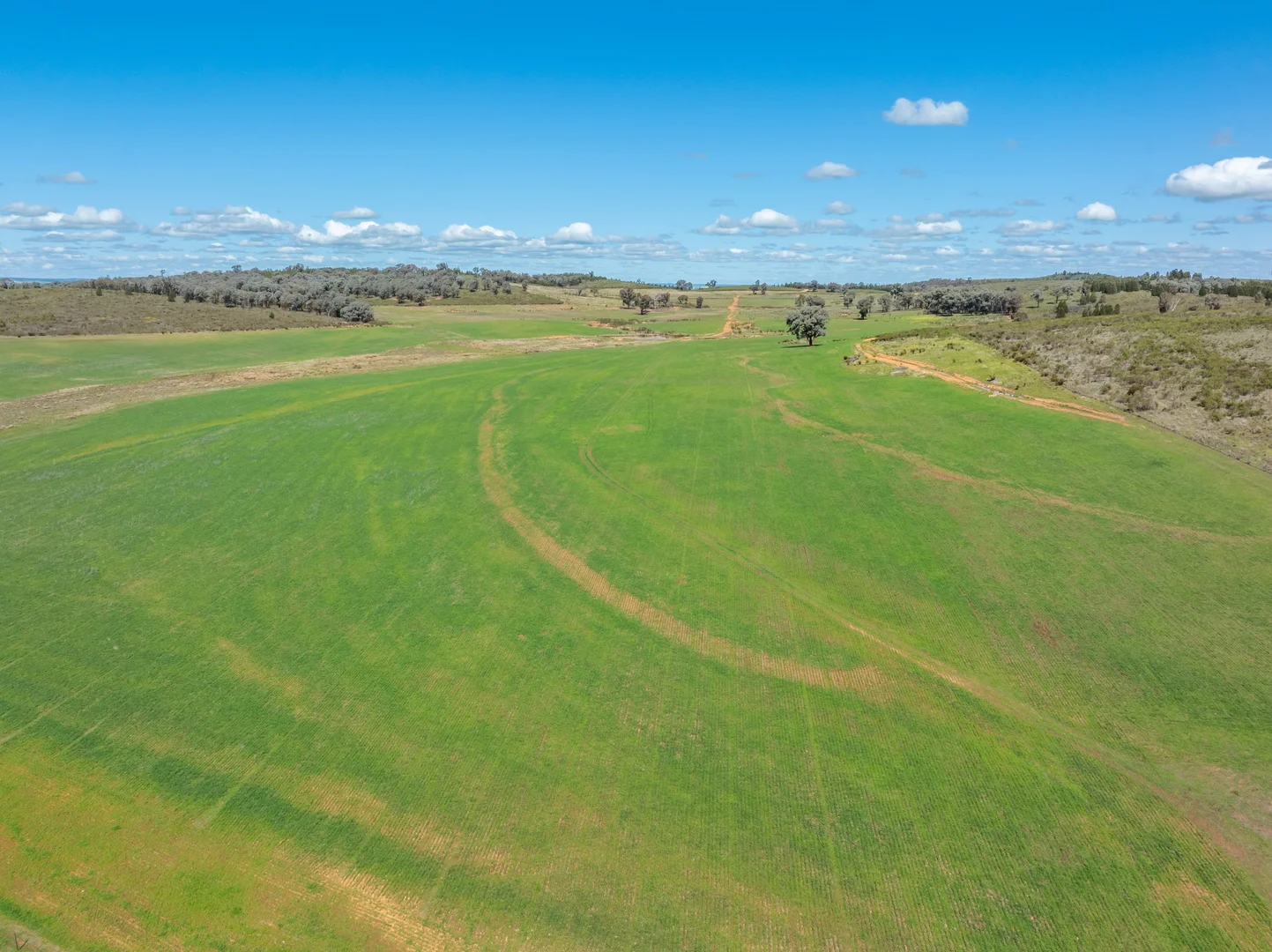 Additional image 32 of 100 Grahams Lane, Grenfell NSW 2810