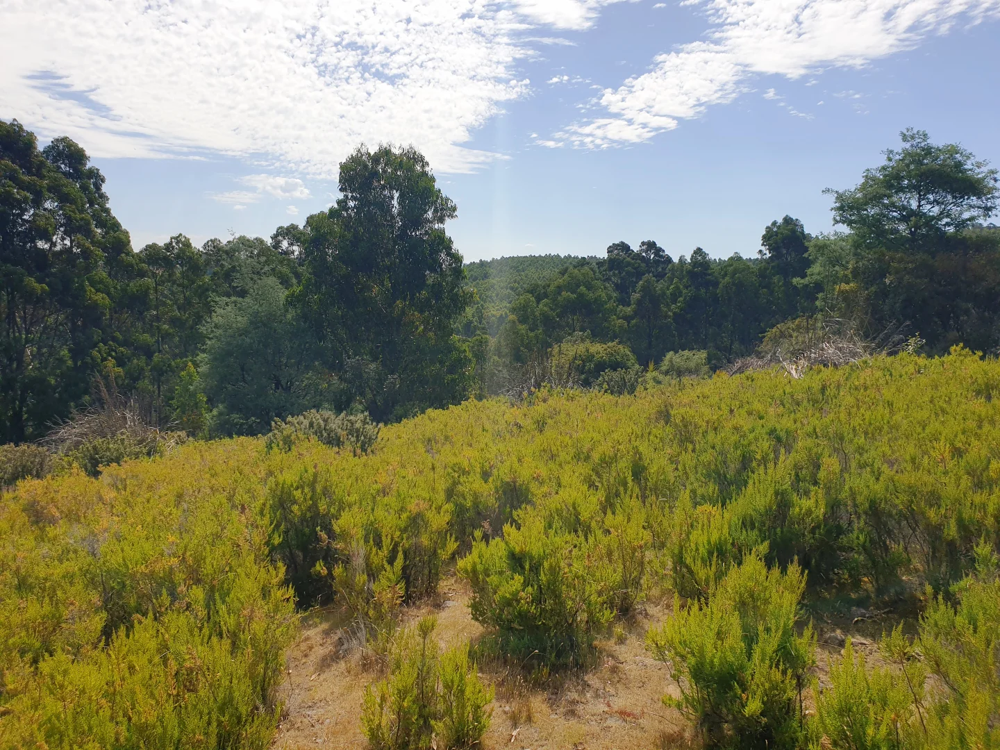 Additional image 4 of Lot 37 Bells Road, Cygnet TAS 7112