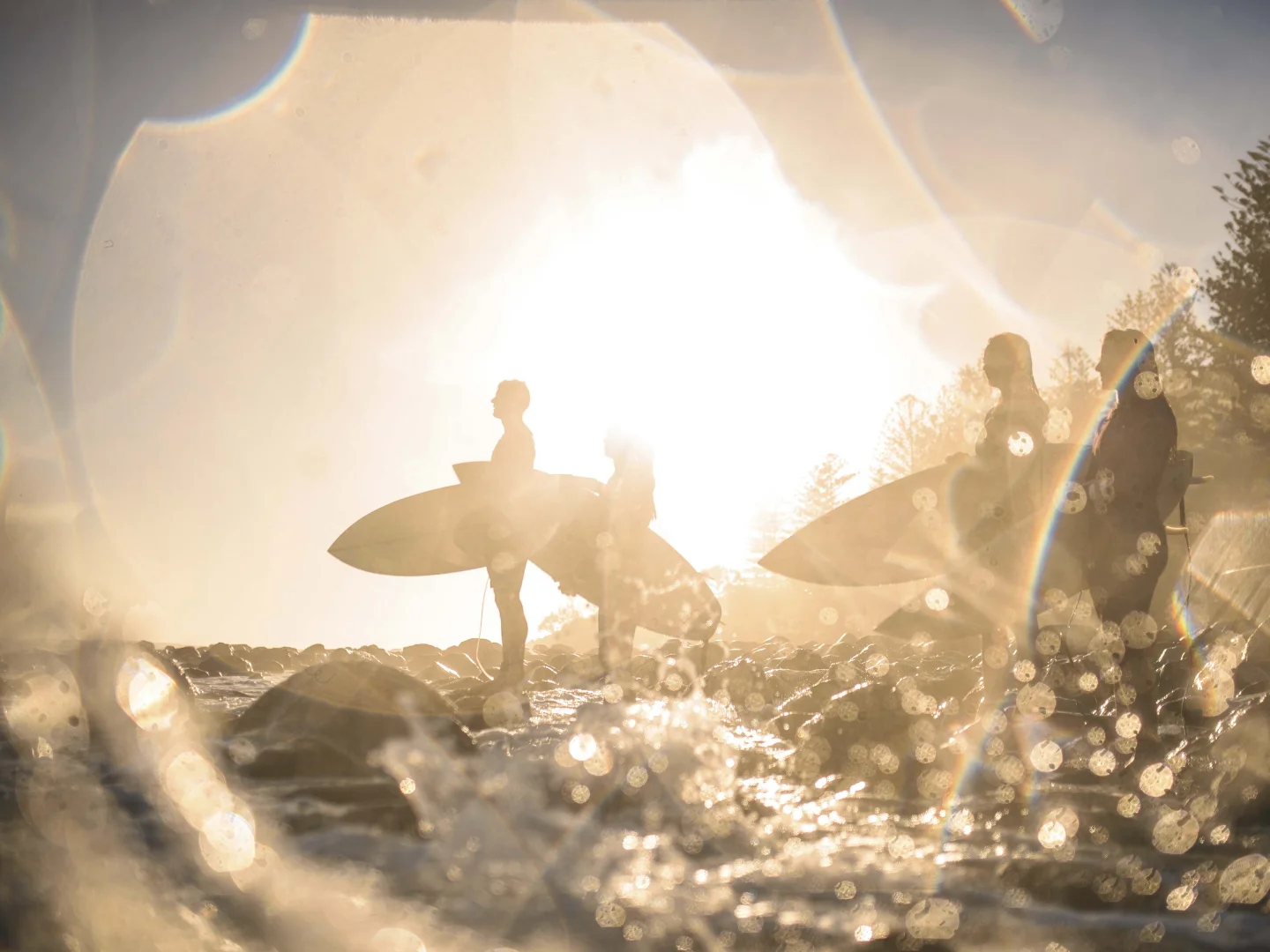 Additional image 13 of Type B/46 Scottsdale Drive, Robina QLD 4226