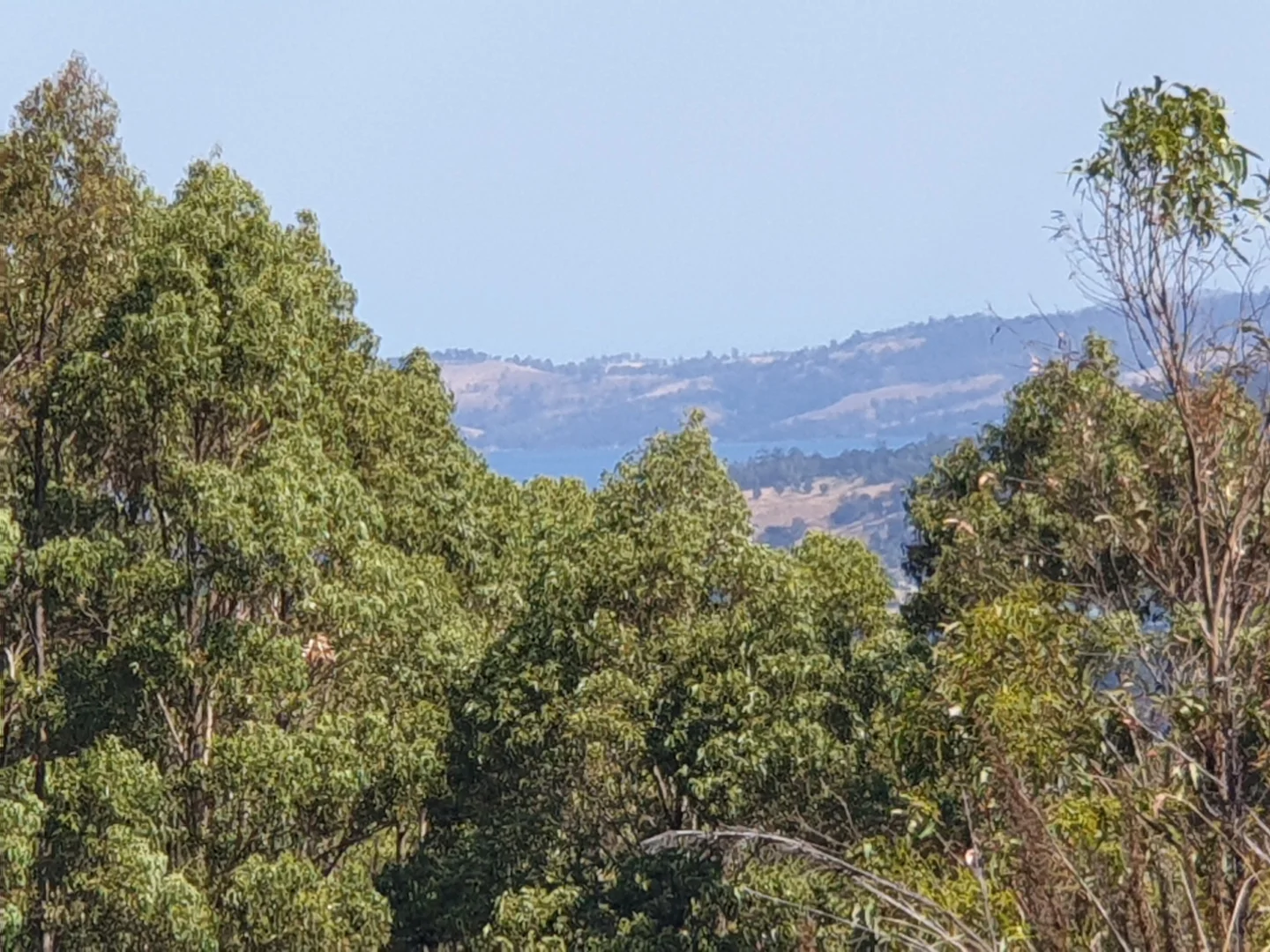 Additional image 6 of Lot 37 Bells Road, Cygnet TAS 7112