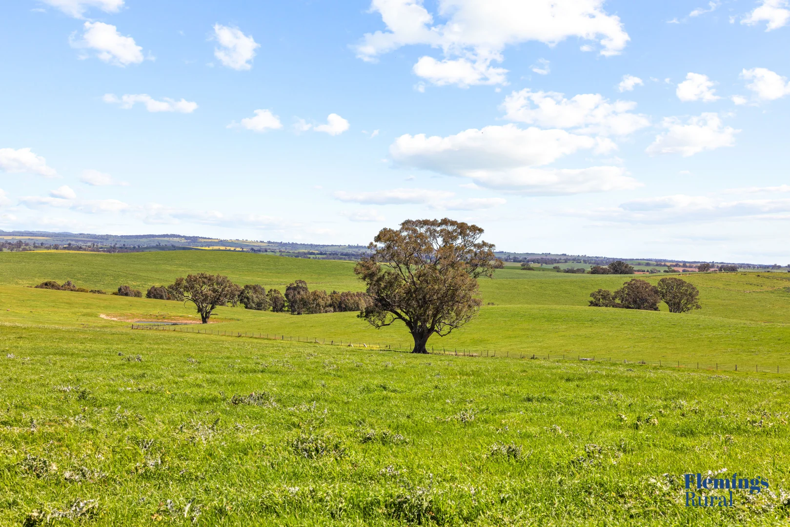 Additional image 2 of 105 Peakview Road, Young NSW 2594