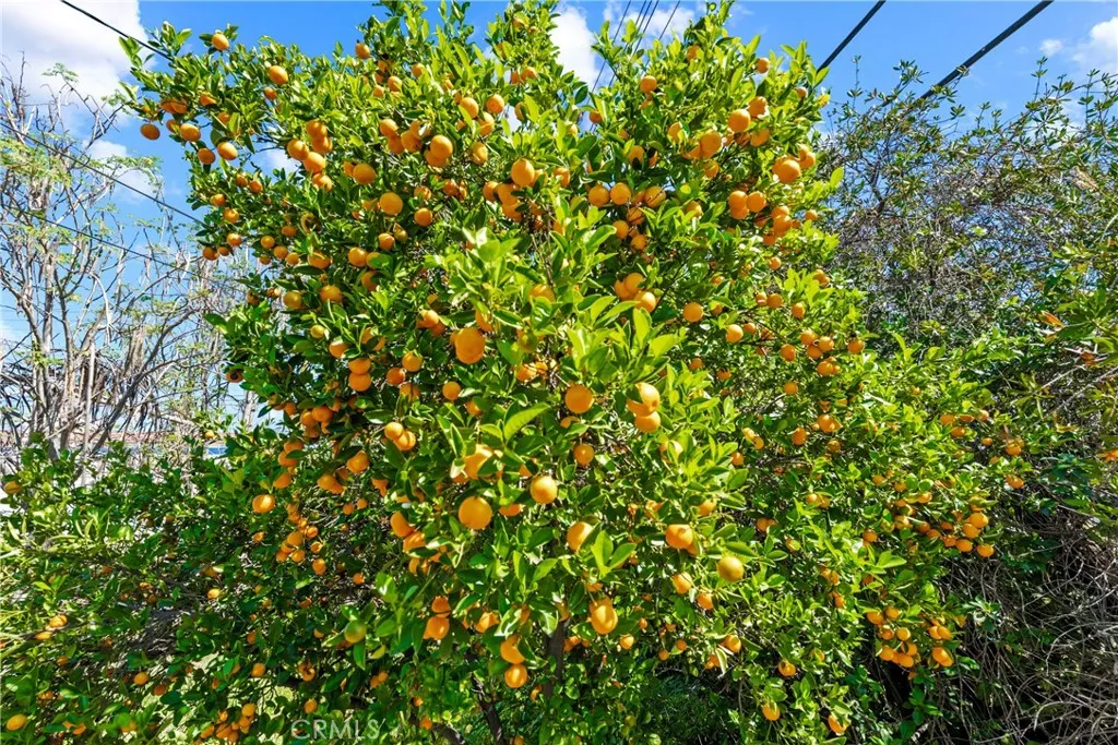 Additional image 42 of 11368 Byways Street, South El Monte, CA 91733