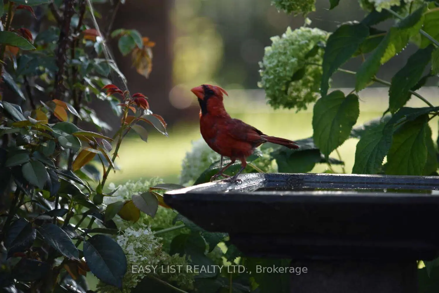 Additional image 19 of 7652 Harris Point Drive