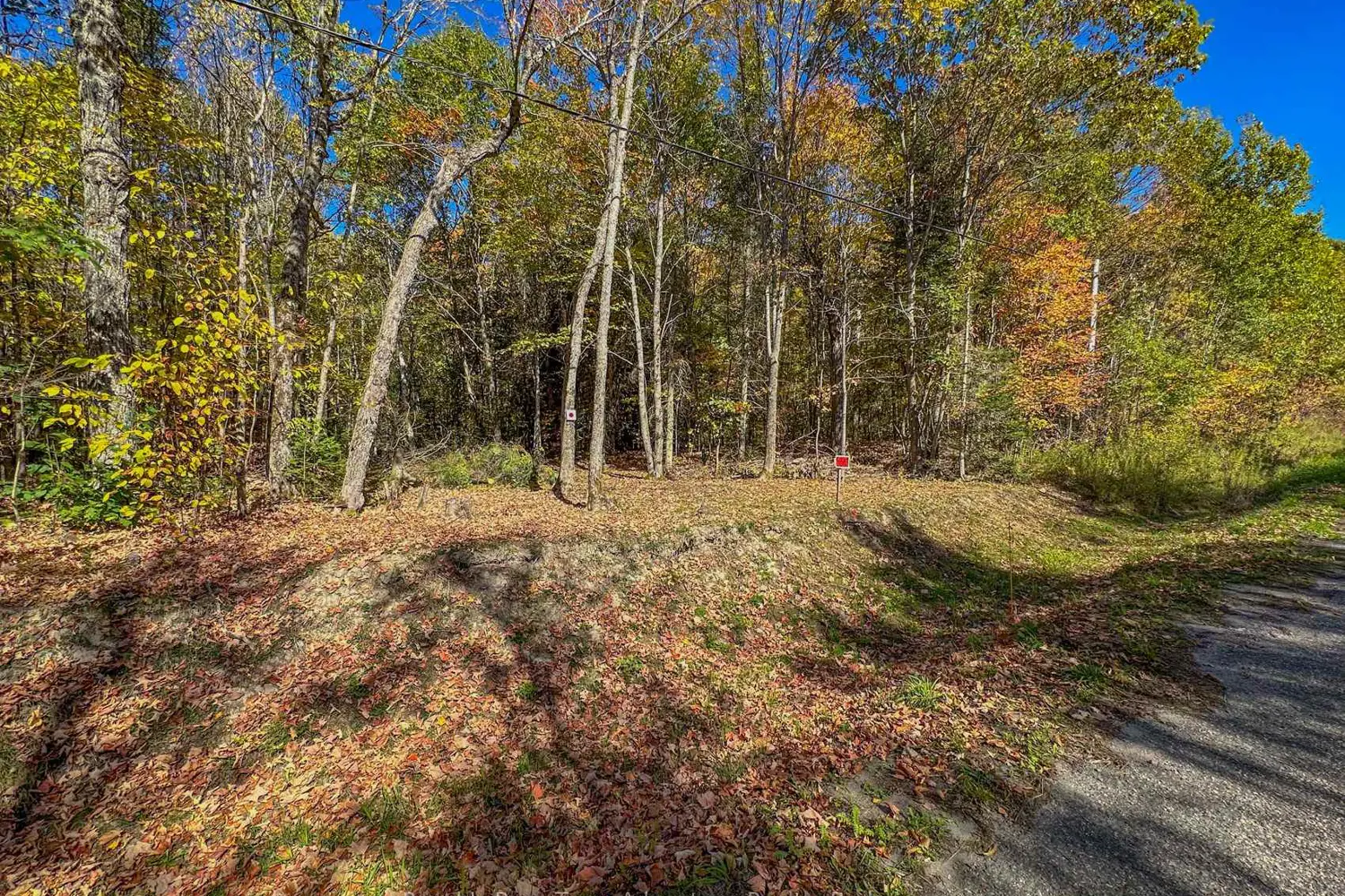 Additional image 18 of 186 Turtle Lake Road