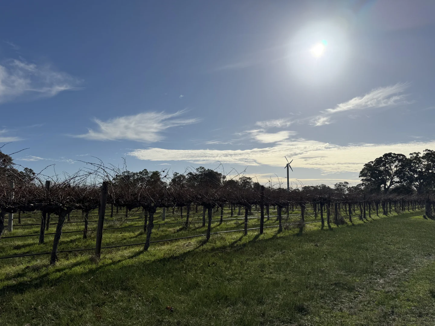 Additional image 7 of Lot 103 Dergholm Road, Penola SA 5277