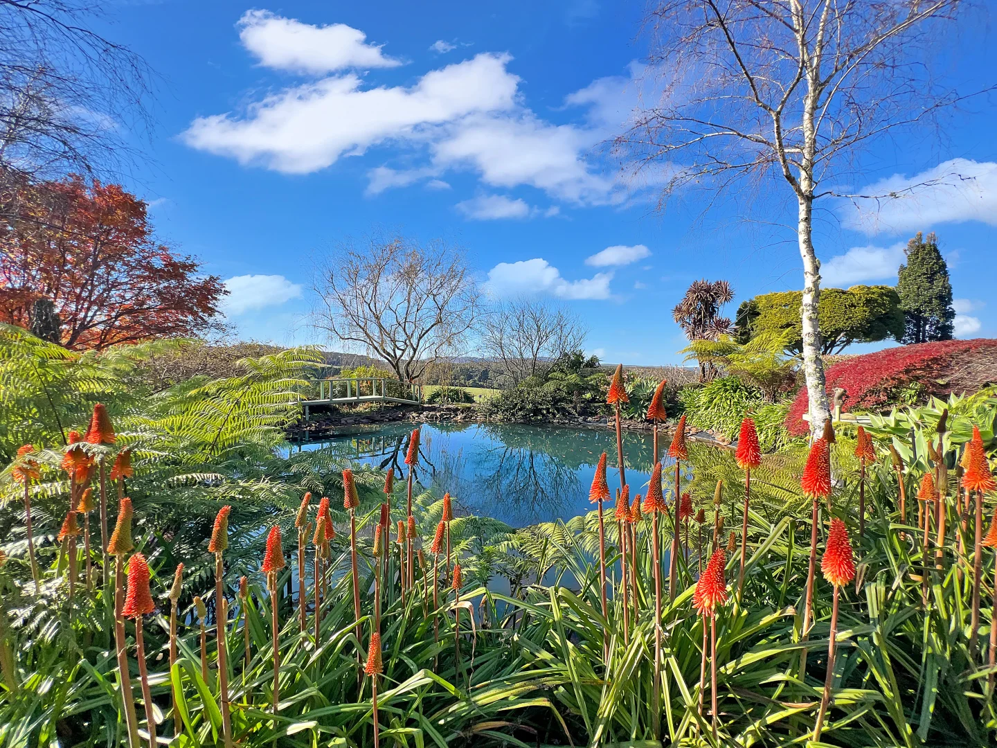 Additional image 2 of 188 Fountaindale Road, Robertson NSW 2577