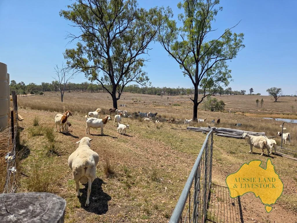 Additional image 2 of 110 BENHAMS ROAD, Mundubbera QLD 4626