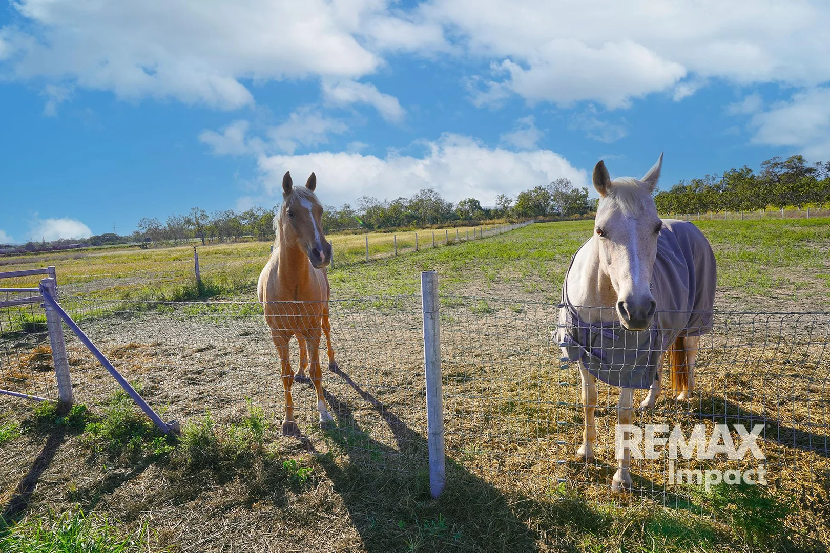 Additional image 16 of 446 Chewko Road, Mareeba QLD 4880