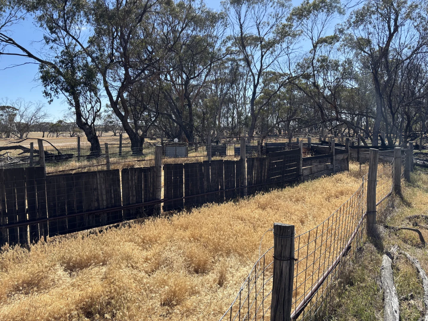 Additional image 11 of . 'Cobbers Soak', Quairading WA 6383