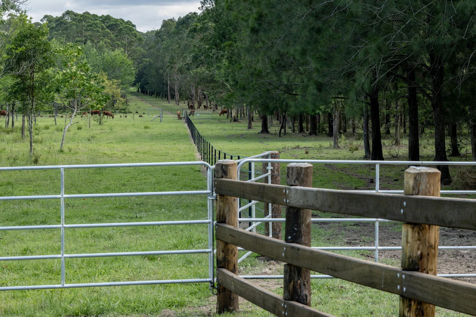 Additional image 12 of 239 Parsons Road, Coondoo QLD 4570
