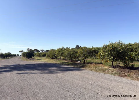 Additional image 3 of 118 Henry Parkes Way, Condobolin NSW 2877