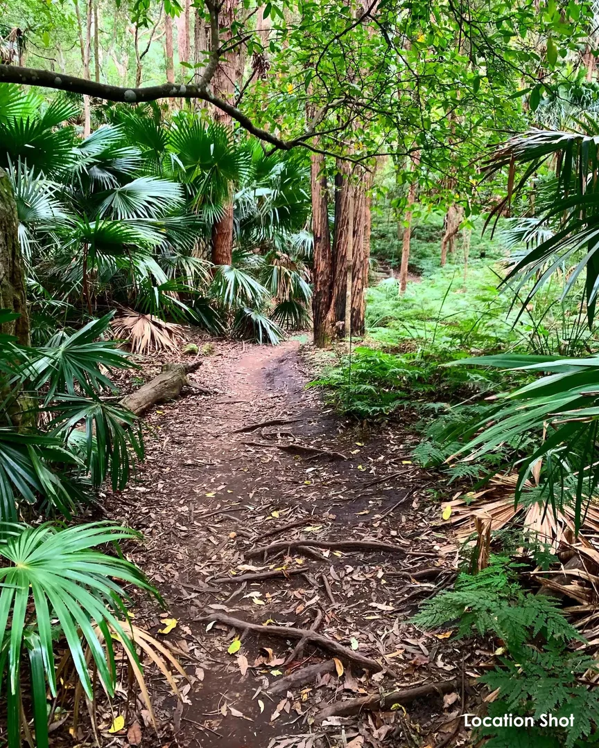 Additional image 30 of 5/55 Mountain Road, Austinmer NSW 2515