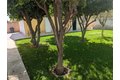 Additional image 7 of 1634 Coronel St, San Fernando, CA, 91340