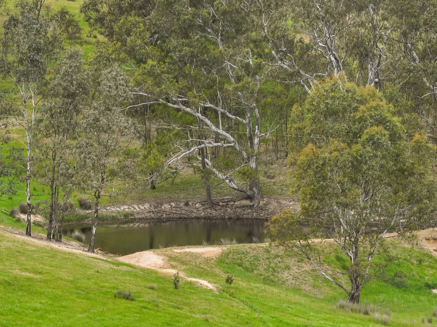 Additional image 9 of 112 Dry Creek Road, Bonnie Doon VIC 3720