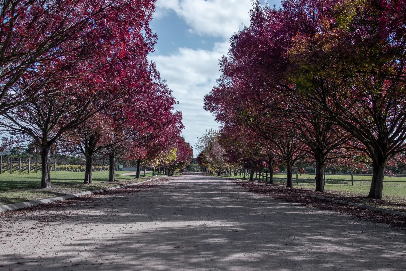 Additional image 13 of Harrisons Road, Dromana VIC 3936