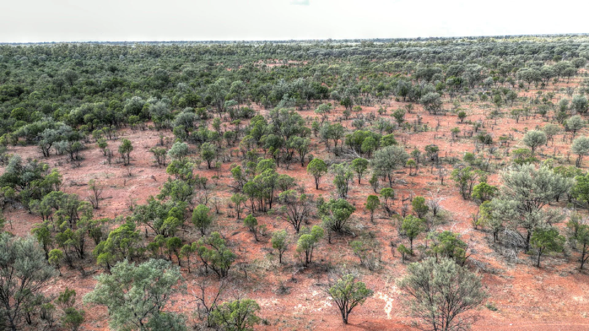 Additional image 8 of "Nardoo" Station 872 Davidson Road, Gunderbooka NSW 2840